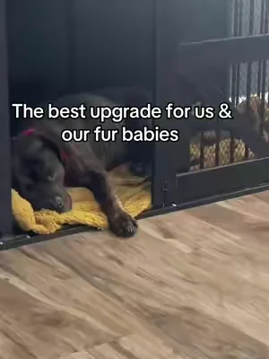 #dogs #dogcrate #dealsforyoudays #tiktokmademebuyit #livingroomfurniture 