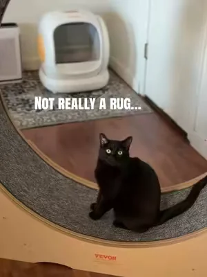 If you have a litter box these washable dog pee pads make the best litter mats.  #litterboxhack #litterbox #catmom #catowner #catlover 