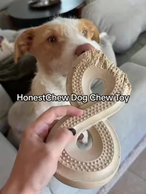 I wish I knew this sooner! #dogsoftiktok #dogtoys #dogchew #dealsforyoudays #tiktokshopcreatorpicks 