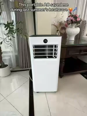 Portable Air Conditioner 10000 BTU#PortableAirConditioner#SummerWins#summervibes#WindowAC #dealsforyoudays