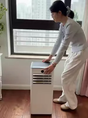 Portable Air Conditioner 10000 BTU#PortableAirConditioner#SummerWins#summervibes#WindowAC #dealsforyoudays