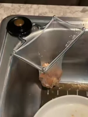 Fruit flies don’t stand a chance bc I’ve been using this strainer instead instead of my garbage disposal this summer. Easy fix. Love this kitchen find.  #fruitflies #KitchenHacks #kitchenfinds #garbagedisposal #kitchengadgets 
