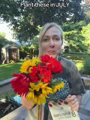 Plant your sunflower seeds in July for late summer or early fall blooms! 🌻 