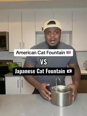 Every cat parent needs this ‼️#catwaterfountain #catfountain #catsoftiktok #catlover #filterfree          