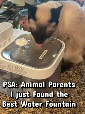 Clean water without the hassle of buying filters! Cordless too so it can sit anywhere in the home #petwaterfountain #catwaterfountain #cordlesswaterfountain #petwaterdispenser #catwaterdispenser 