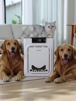 this literally traps pet hair from out of the air,we have three pets!   #PetAirPurifier   #summeressentials #PetHairEverywhere  #CatHealth #Dealsforyoudays   