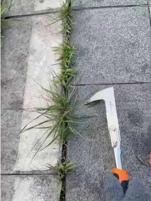 Do you still use butter knife and screwdriver for this type grass in crevice? #magictools#concretecrevicetool#drivewaycracksgrass#DealsforYouDays #summerwins