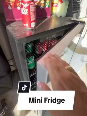I could buy this 4 times before it equals what I paid on a very well known expensive brand!! #antarcticstarminifridge #DealsForYouDays #tiktokshopcreatorpicks #antarcticstar #minifridge 