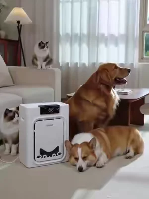 this literally traps pet hair from out of the air,we have four cats!   #PetAirPurifier   #PetHairEverywhere  #CatHealth #summeressentials #DealsForYouDays    