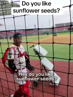 Do you like sunflower seeds? ⚾️ @DiablosRojosMX 