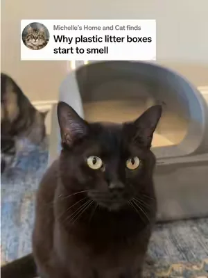 If you’re still using a plastic litter box, here’s your sign to upgrade to a stainless steel. It’s on a really good sale.  #litterbox #stainlesssteellitterbox #catsoftiktiok #catlover #catmomlife 