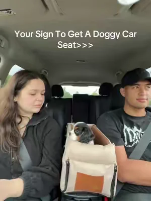 Our Poppi girl loves her car seat between mommy and daddy✨🐾#fyp #puppy #puppytiktok #girlytok #puppytok 
