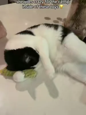 These toys have much more catnip than most other “catnip” toys 