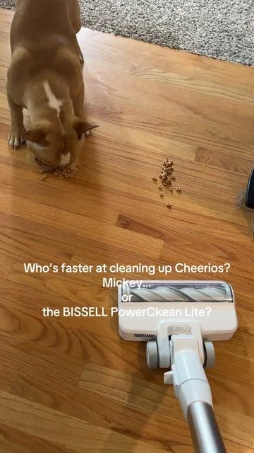 POV: your dog thinks every cleanup is a snack. 😂 This may be the only race where everyone wins. If you’re tired of dragging out a huge vacuum for tiny messes, this one’s worth comparing. #BISSELL #CordlessVacuum #PetParents #dealsforyoudays #summervibes 