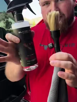 Easy Detailer #TikTokShopCreatorPicks #SummerWins #DealsForYouDays 