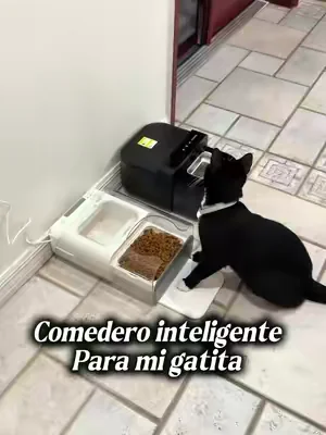 🥰Este comedero inteligente ha sido un antes y un después! El sensor reconoce el collar de tu mascota y la tapa se abre automáticamente cuando se acerca. Es ideal para controlar porciones, mantener una dieta específica y conservar el alimento fresco, limpio y protegido del polvo. ¡Una forma práctica y cómoda de cuidar a tu peludo🥰 #comederointeligente #heapet #favoritosdemascotas #heapetslove #momlife @Heapets Store 