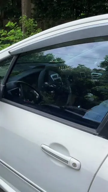 The perfect product to organize your car information. 💗💜 47J #carorganizers #tiktokshop #carfinds #carproducts #tiktokshopping 