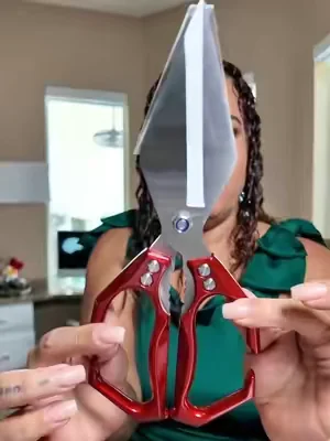 Primera vez q me pido una tijera de estas, esta muy buena. #tijerasdecocina #arruinateconmigo #parati 