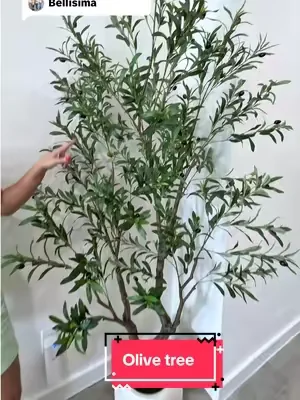 Respuesta a @Mildrey Ayala  Realistic Artificial Olive Tree with Thick Trunk & Lifelike Fruit – 5/6/7/8FT, Perfect for Home & Office Décor with Round White Pot（Plastic Basin） ##summerwins##DealsForYouDays##paratiiiiiiiiiiiiiiiiiiiiiiiiiiiiiii##olivetree##artificialolivetree