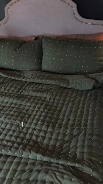 The softest quilt I’ve ever owned! #quilt #bedding #cozybedding 