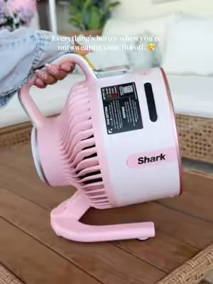 ☀️ built in mister, cordless, powerful, and easy to bring anywhere summer takes you. 💨 #SharkFlexBreeze #PortableFan #SummerEssentials #TikTokShopCreatorPicks #DealsForYouDays 