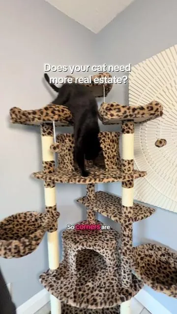 This corner cat tree is perfect for this space. The kitties get lots of place to be without taking up too much space in my home.  @HOOMIC #cattree #cattower #catenrichment #catlovers 