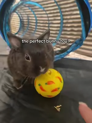 It’s so cute to watch him play with it #PetsOfTikTok #bunny #bunnytoy #pettoy #rabbit 
