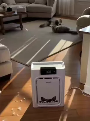 this literally traps pet hair from out of the air,we have two cats!   #PetAirPurifier   #PetHairEverywhere  #CatHealth #summeressentials #Dealsforyoudays    