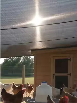 Blocks 90% of UV rays and effectively repels mosquitoes-the perfect companion for your backyard#shadecloth #sunshadenet #tiktokmademebuyit #outdoornet #shadenet