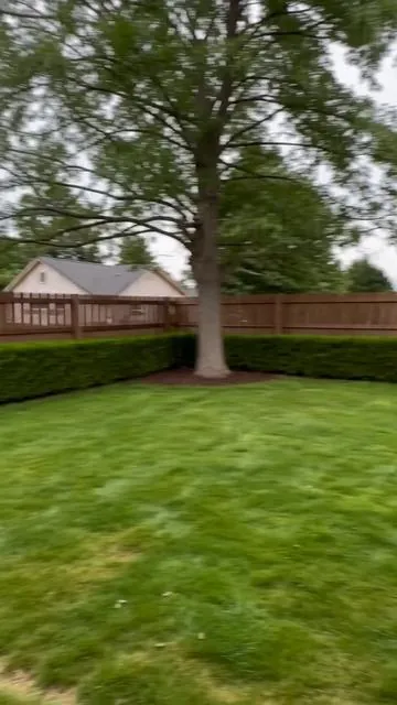 POV: Your backyard storage just got a UPGRADE 🛠️ This triple-door shed holds tools, bikes, *and* firewood! 🚨 Ships in 2 packages + easy setup. #DealsforYouDays #BackyardGoals #StorageSolutions #HomeHacks #TikTokMadeMeBuyIt