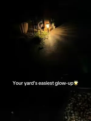 I love summer and how my garden just thrives, especially with these solar lights! #solarlights #outdoorlighting #homefinds #outdoordecor #gardenlights 
