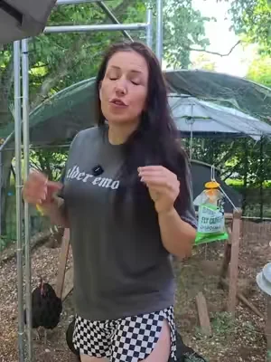do not put vinegar in chickens water in extreme heat #chickens #backyardchickens 
