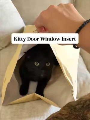 This fits windows between 23.5”–37.5” #kittydoor #catio #cats #windowinsert #doggydoor 