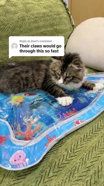 Replying to @Dani I tested this water mat the way my cat would… and it held up way better than I expected.#catpick ##petcoolingmat ##coolingmat ##petcoolingmat 
