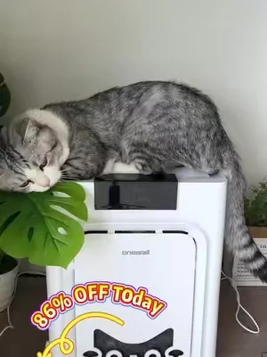 this literally traps pet hair from out of the air,we have two pets!   #PetAirPurifier   #summeressentials #PetHairEverywhere  #CatHealth #Dealsforyoudays  