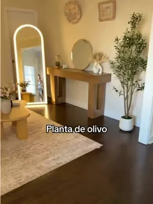 Árbol de olivo para decorar el espacio de tu hogar #DealsForYouDays #TikTokShopCreatorPicks #plantadeolivo 