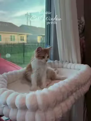 My girls favorite place to nap🤎