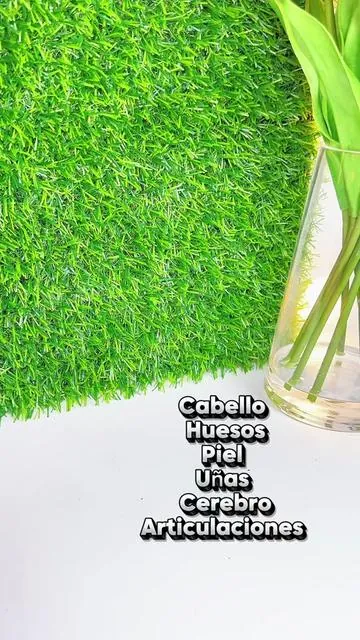 Dúo de @Sports Research collageno con biotin y Omega3 #omega3#collagen#sportsresearch  