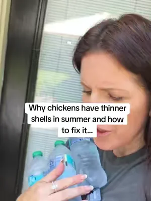 up chickens  calcium and protein for thigh shells and strong feathers #chickens #backyardchickens 