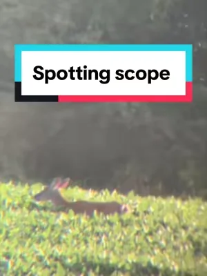 This is a great spotting scope at an even better price. This is gonna make scouting for your Deer season a whole lot easier. #DealsForyoudays ##SummerWins##Hunting##Deer##Scouting
