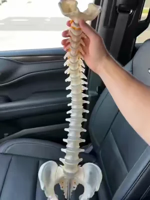 "Utilizo este cojín durante sesiones prolongadas y mejora significativamente mi comodidad al sentarme."#cushion #drive