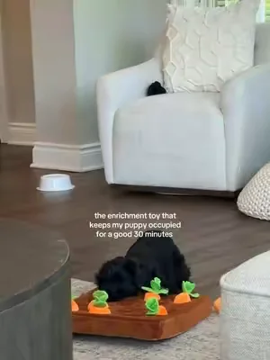 farmer ducky is reporting for duty 🧑🏻‍🌾🥕 the best puppy enrichment #enrichmentfordogs #puppytoys #puppyenrichment 