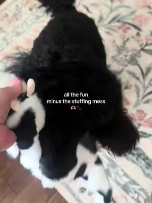 The dogs love these toys & I love that they don’t have the stuffing mess! #dogmom #dogtoys 