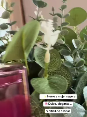Nadie habla de este perfume Pero huele increíble 😍 #perfume #date #bellavitaluxuryperfume 