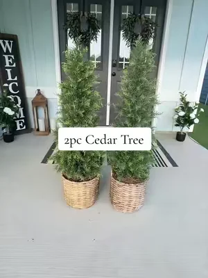 #christmastree #cedartree #artificialtree #porchdecor 