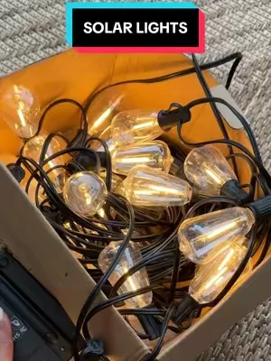 Beautiful warm lights every night! #solarlight #solarlights #SummerVibes #dealsforyoudays #tiktokshopcreatorpicks 