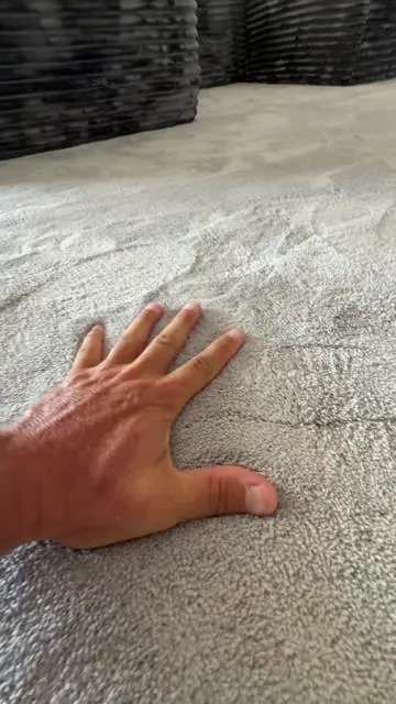 Beautiful Cozy Modern Area Rug