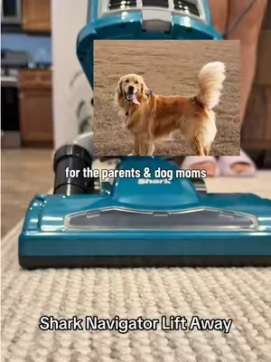 Trust me you are going to want to check those coupons ⬇️ because if you are a parent or pet owner this is the vacuum you are not going to want to miss! #petlover #dogmom #goldenretriever #vacuum #cleaning  