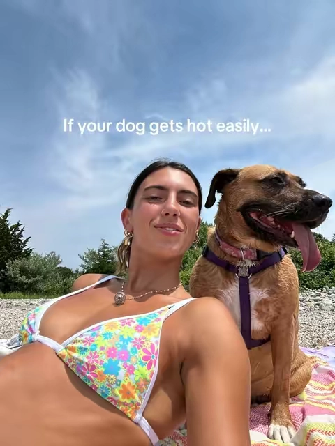 I didn’t realize how hot my dog was, until I got her this