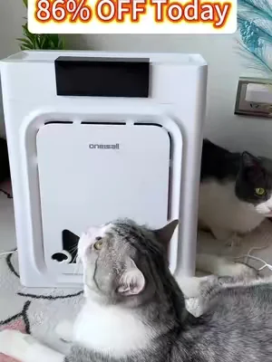 this literally traps pet hair from out of the air,we have two pets!   #PetAirPurifier   #summeressentials #PetHairEverywhere  #CatHealth #Dealsforyoudays  